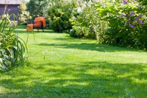 travaux jardin et paysage Malansac